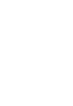 cybersecurity gdms laos myanmar security IT